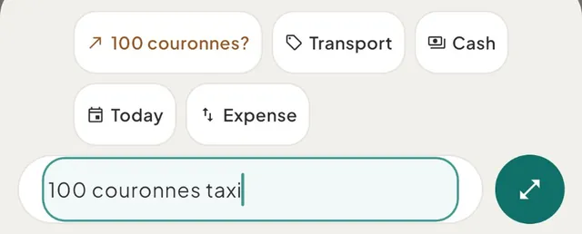 The capture bar reading "100 couronnes taxi", with the amount chip "100 couronnes?" in copper, Transport, Cash, Today and Expense, and the round button showing the expand icon