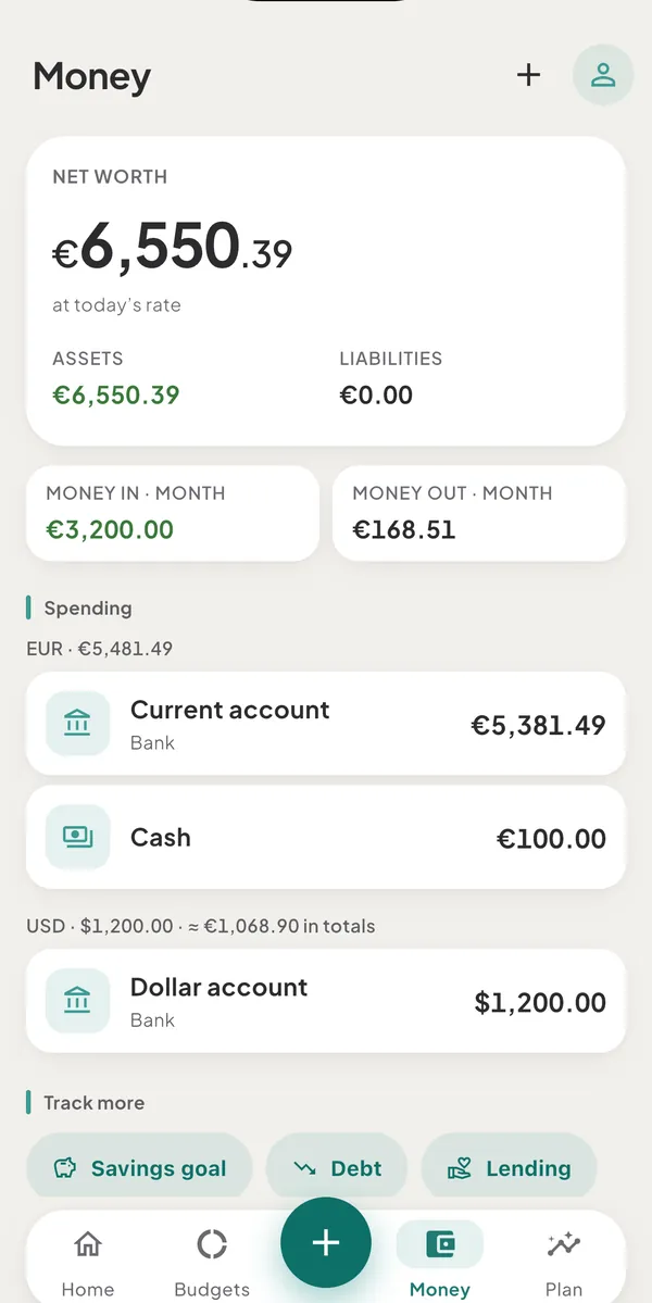 The Money tab with the Net worth card, the Assets and Liabilities figures, Money in and Money out for the month, and the list of spending wallets